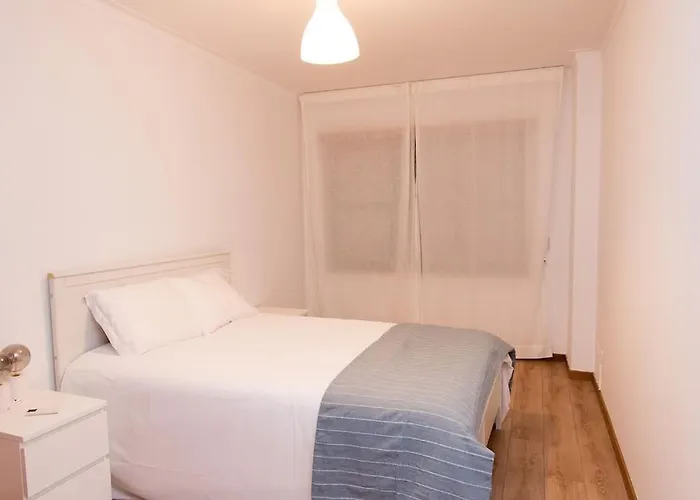 Paulo Guest By Rosado