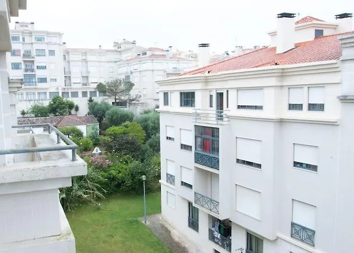 Paulo Guest By Rosado * Caldas Da Rainha